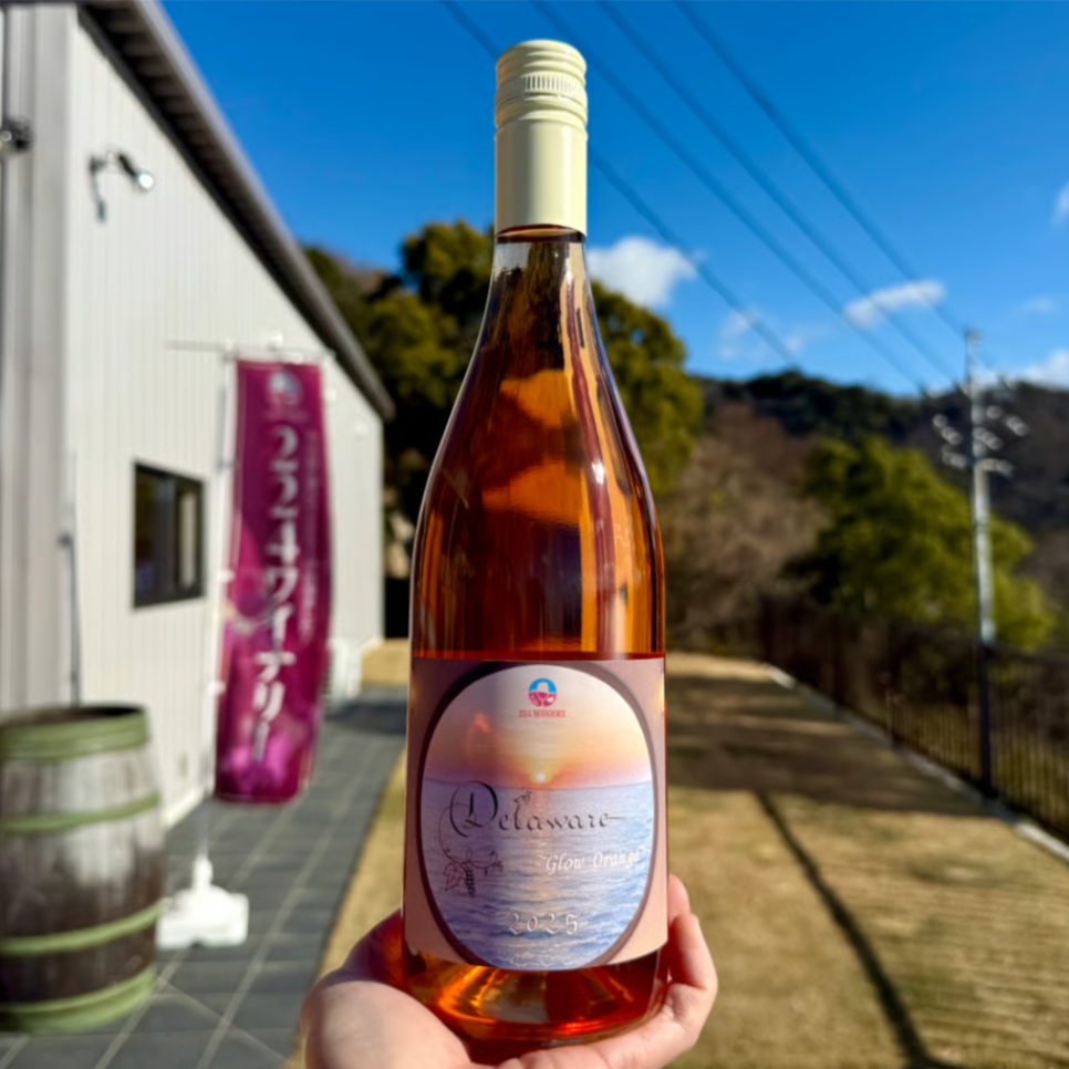 デラウェア～グロウオレンジ　２０２５